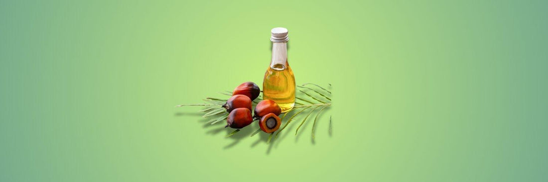 Batana Oil for Hair Growth: Fact Check & Evidence Review