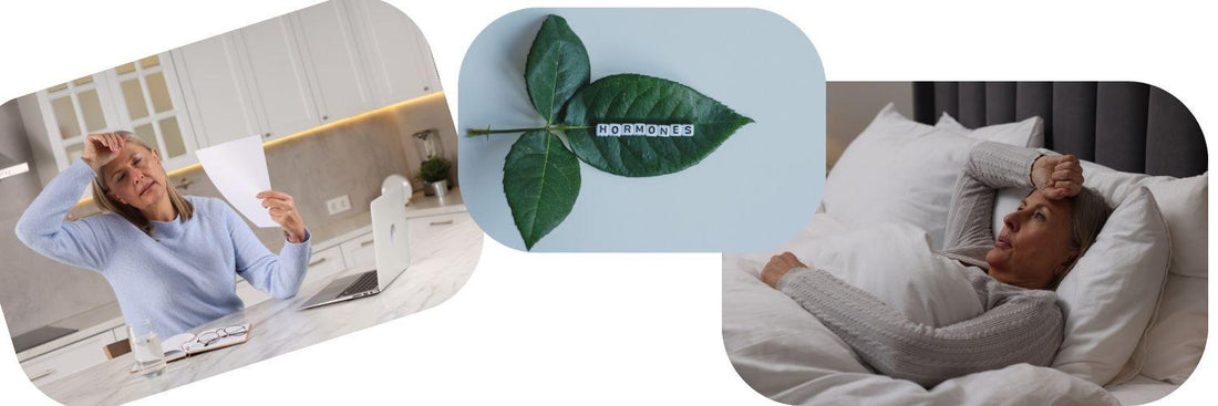 Understanding the Causes of Hot Flashes and Night Sweats: A Scientific Perspective