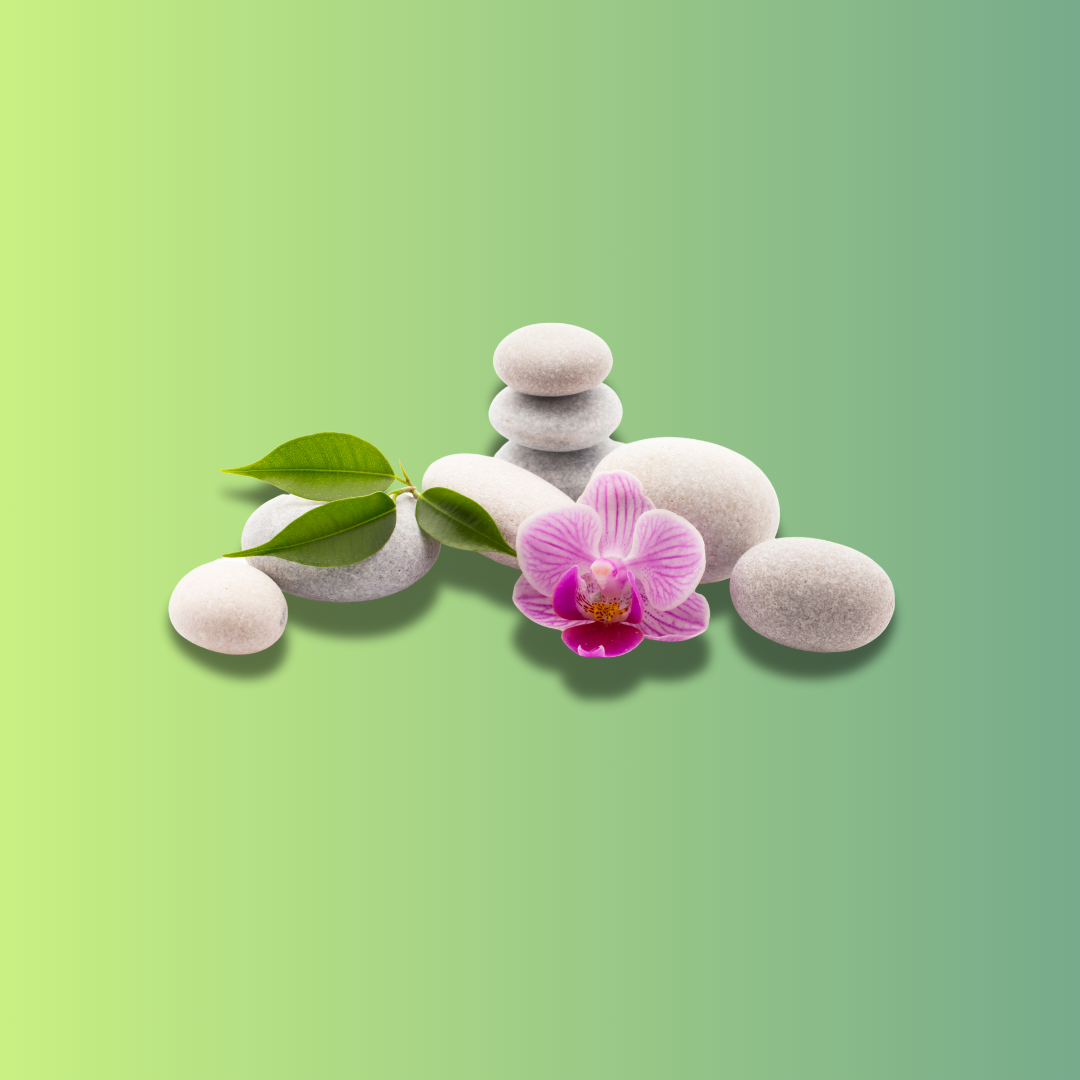 Premium SPA Services