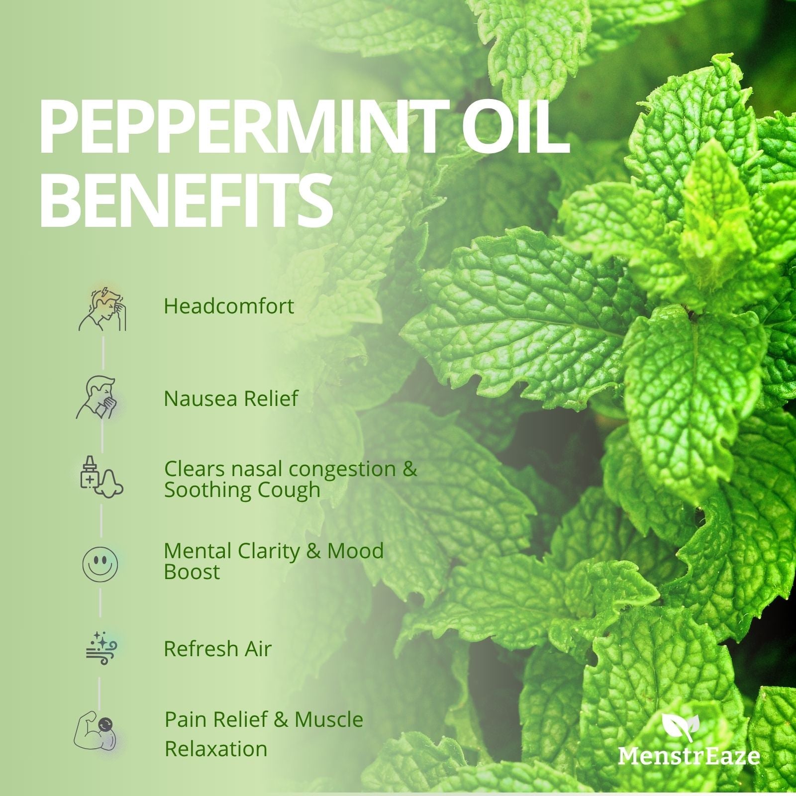 Peppermint Benenifits