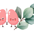 Logo for Eucalyptus for Lung Function