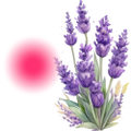 Logo for Lavender for Periods