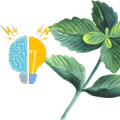 Logo for Peppermint for Cognitive Function