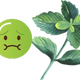 Logo representing this research and benefits: Peppermint for Nausea
