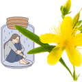 Logo for St John's Wort for Depression