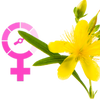 St John's Wort for Menopause