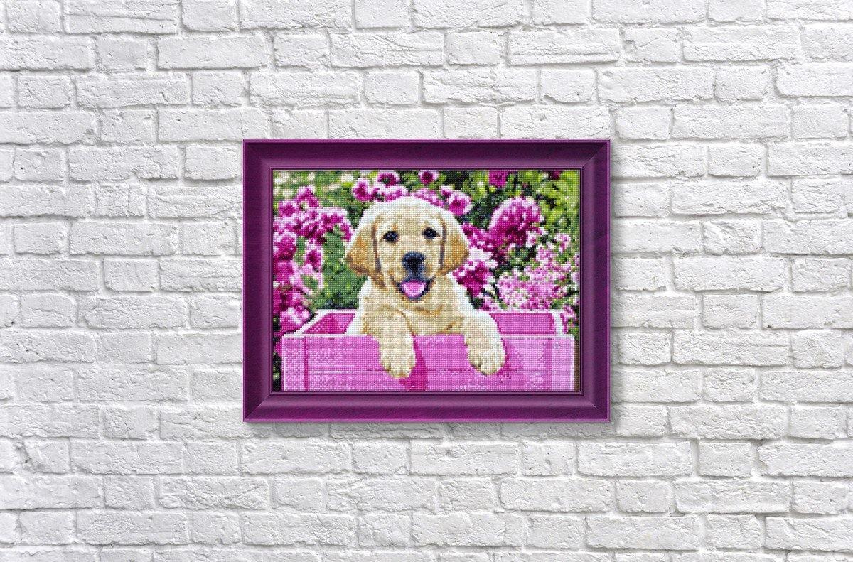 Labrador Puppy in Pink Box CS2414 Crafting Spark Diamond Painting Kit-1