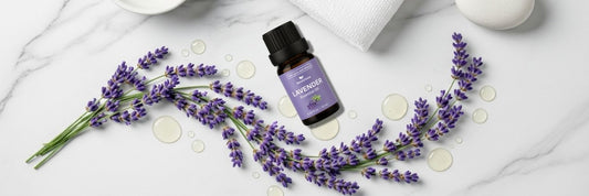 Better Sleep, Better You – Lavender Essential Oil for Restful Nights