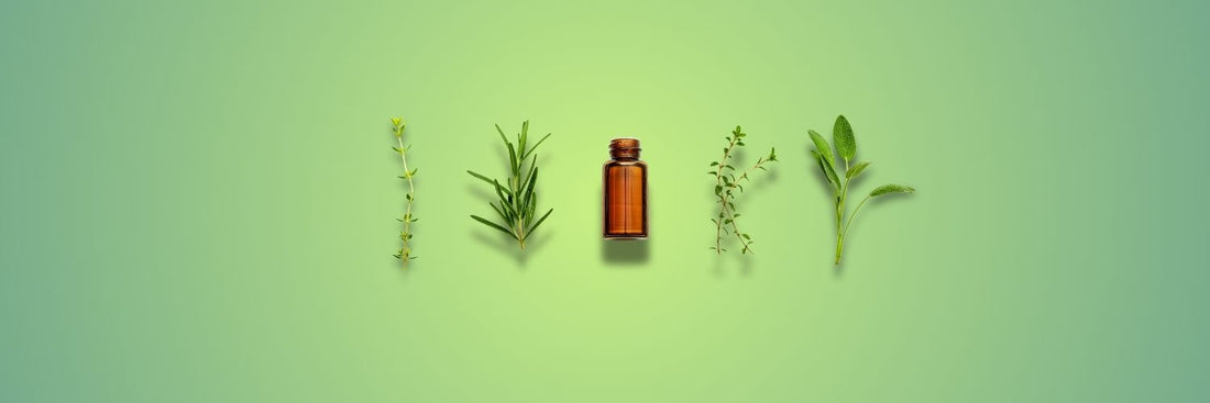 Essential Oils for Skin: Benefits, Use & Safety Guide