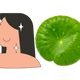 Logo representing this research and benefits: Centella Asiatica for Skin