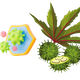 Logo representing this research and benefits: Castor Oil for Antimicrobial