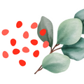 Eucalyptus for Anti-inflammatory