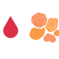 Frankincense for Heavy Menstrual Bleeding