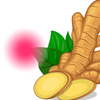 Ginger for Periods