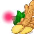 Ginger for Periods