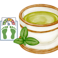 Green Tea for Metabolic Health and Weight Management