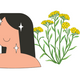 Logo representing this research and benefits: Helichrysum for Skin