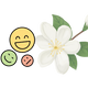 Jasmine for Mood