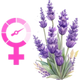 Lavender for Menopause