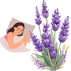 Lavender for Sleep