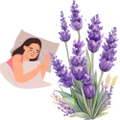 Lavender for Sleep