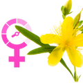 St John's Wort for Menopause