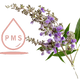 Chaste tree for PMS